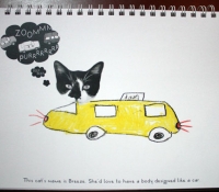 fotoplay-m-j-bronstein-cat-car-taxi
