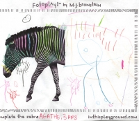 marciejanbronstein-fotoplay-in-this-playground-zebra1