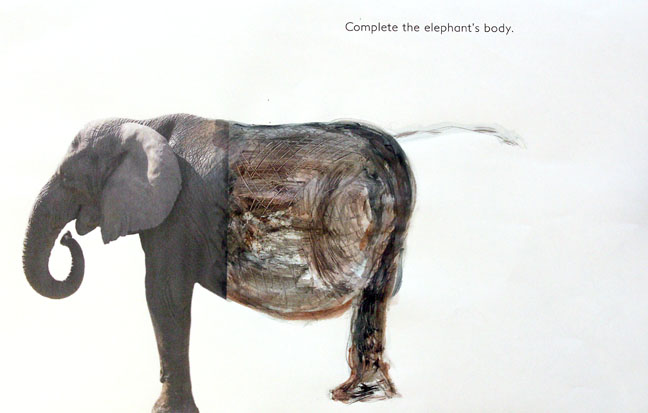 elephant-fotoplay-bronstein-workshop2