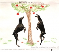 PhotoPlay_Bronstein_Chronicle_Portland Museum_play