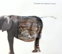 elephant-fotoplay-bronstein-workshop2