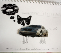 fotoplay-cat-car-bronstein