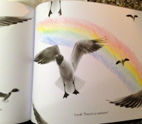 photoplay-bronstein-rainbow