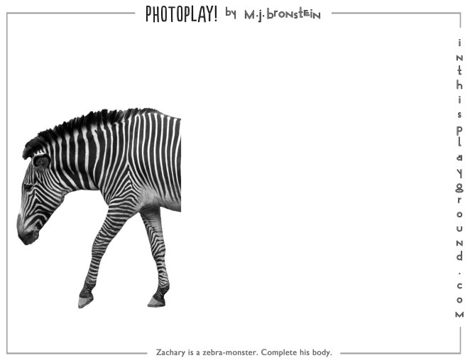 marcie-jan-bronstein-photoplay-zebra