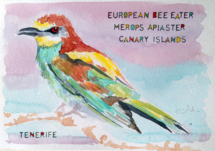 European_Bee_Eater_Tenerife-Bronstein-watercolor