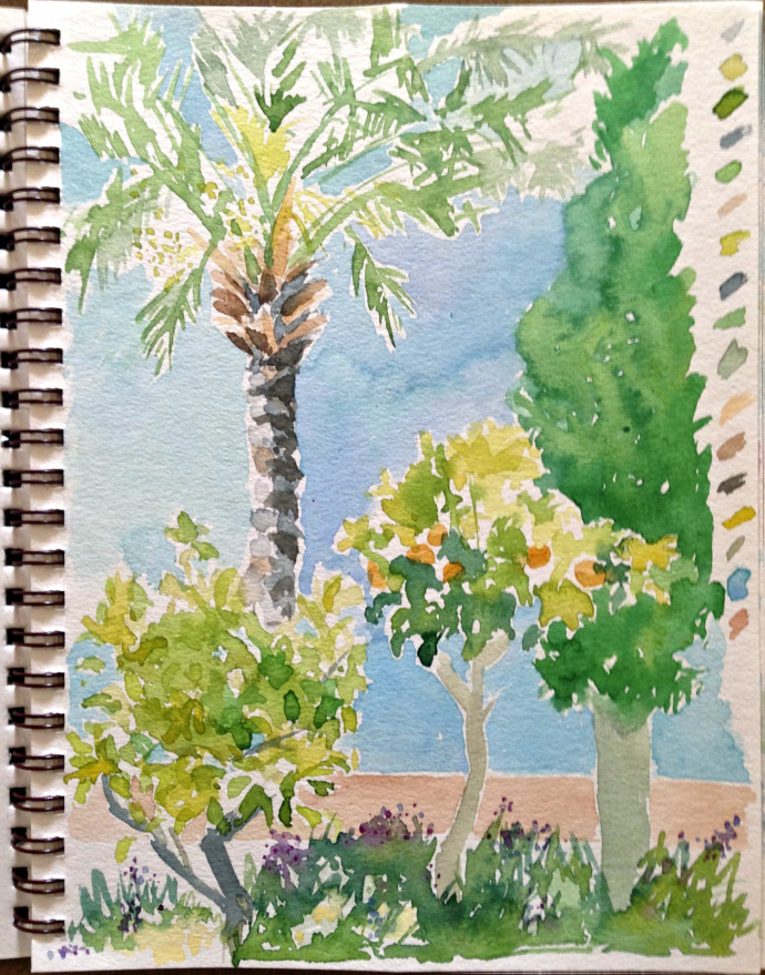 marcie-bronstein-watercolor-kusadasi-palm