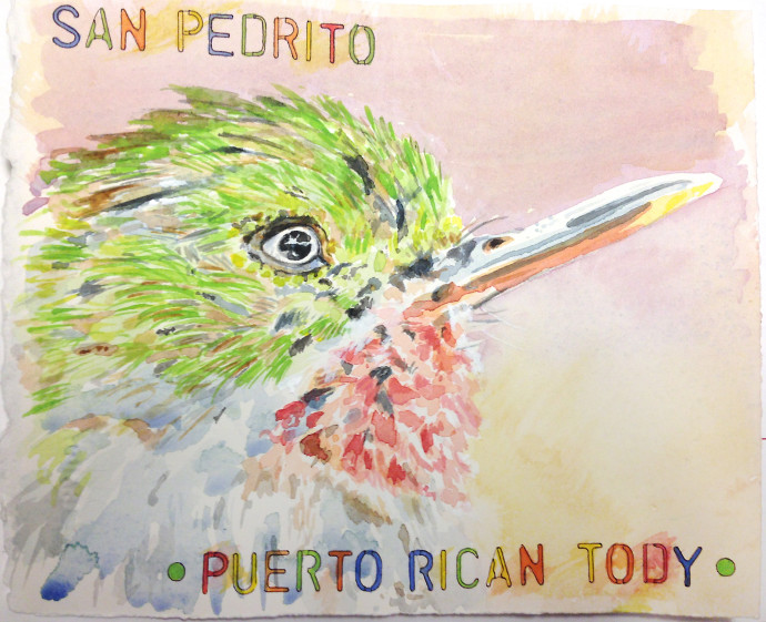 M.J.Bronstein-Puerto-Rican-Tody-watercolor